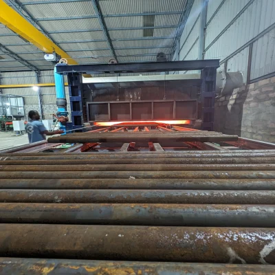 PXL_20240125_171258935.MP